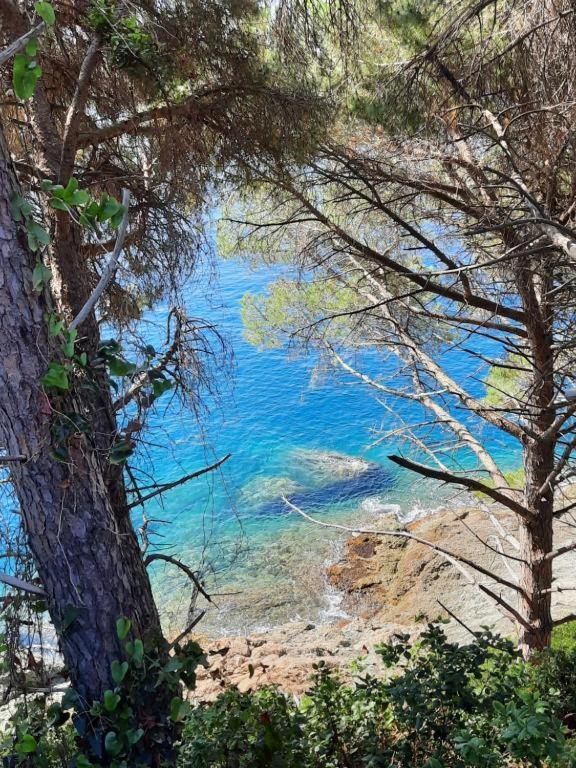Appartamento Il Vicoletto La Spezia Exterior foto