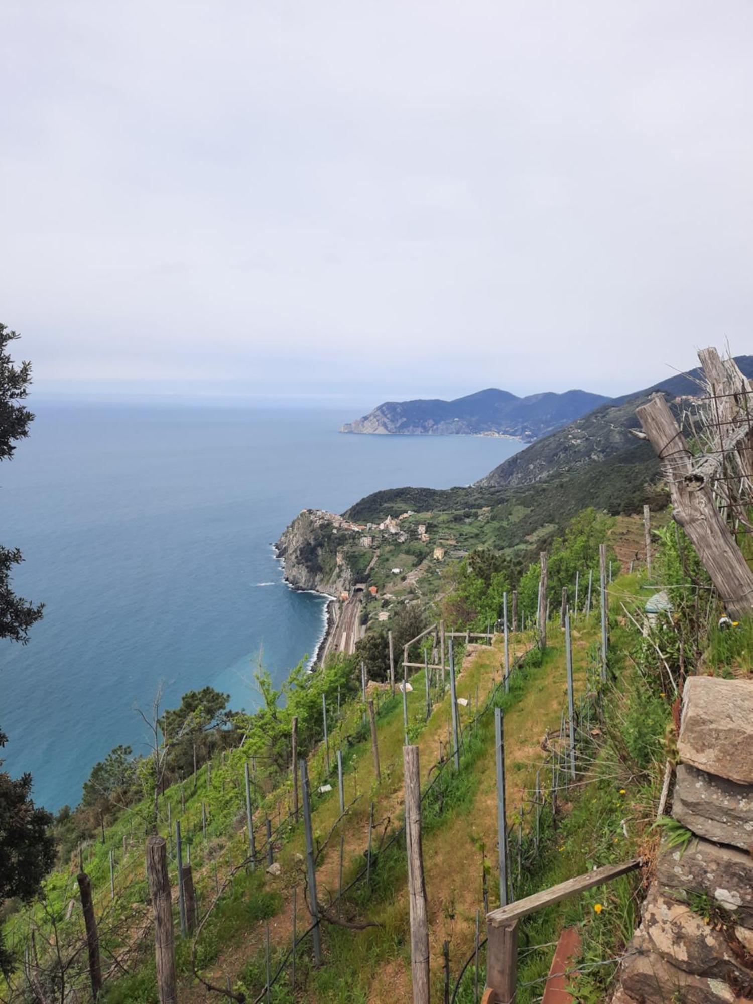 Appartamento Il Vicoletto La Spezia Exterior foto